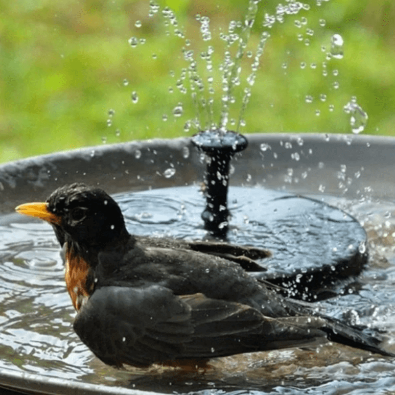 Elegant Solar Fountain | Solar-Powered Water Fountain with Adjustable Spray | Eco-Friendly Design for Outdoor Serenity