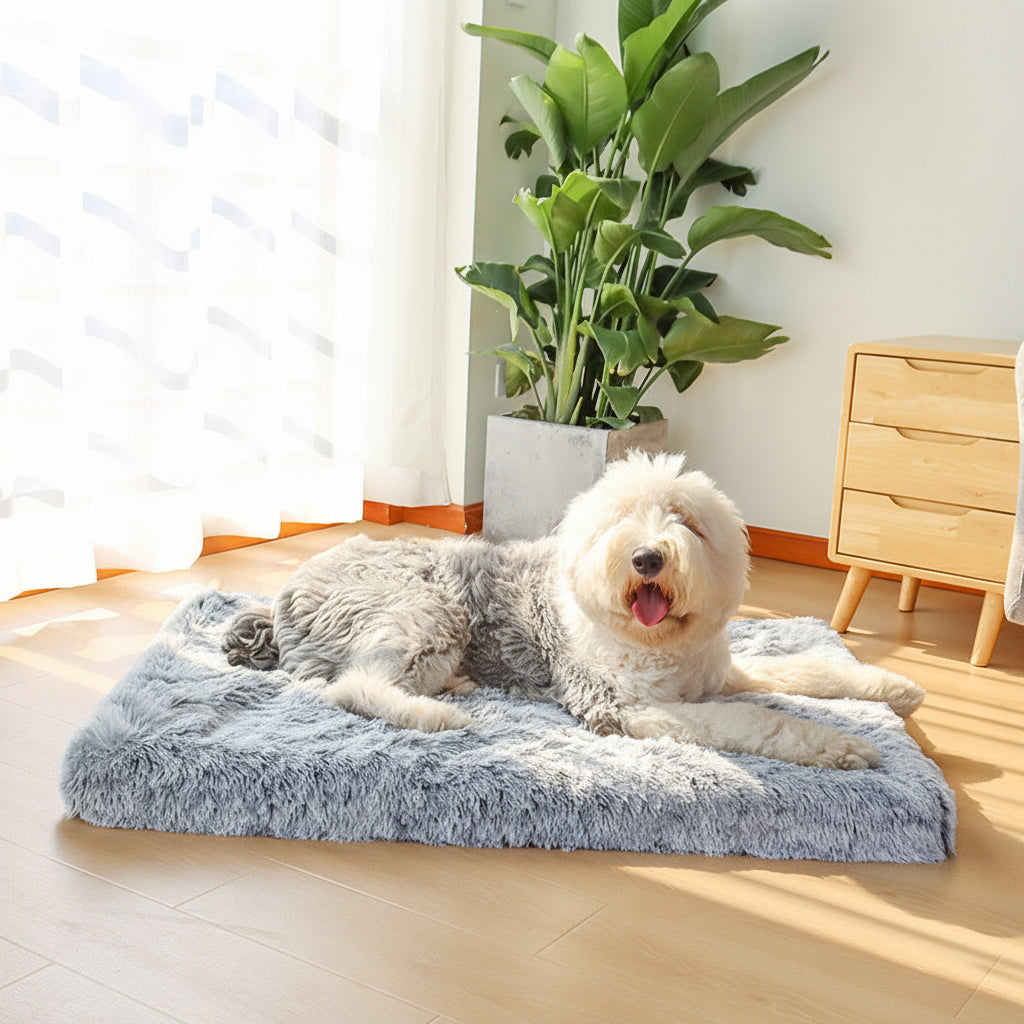 Ortekor Cozy Pet Haven | Washable Dog Bed with Raised Edge for Comfort | Indoor Sleeping Solution for All Breeds