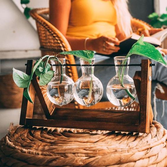 Wooden Hydroponic Vase Holder with Glass Tubes for Propagating Cuttings Tabletop Decor Station for Herbs Flowers Succulents Root Development