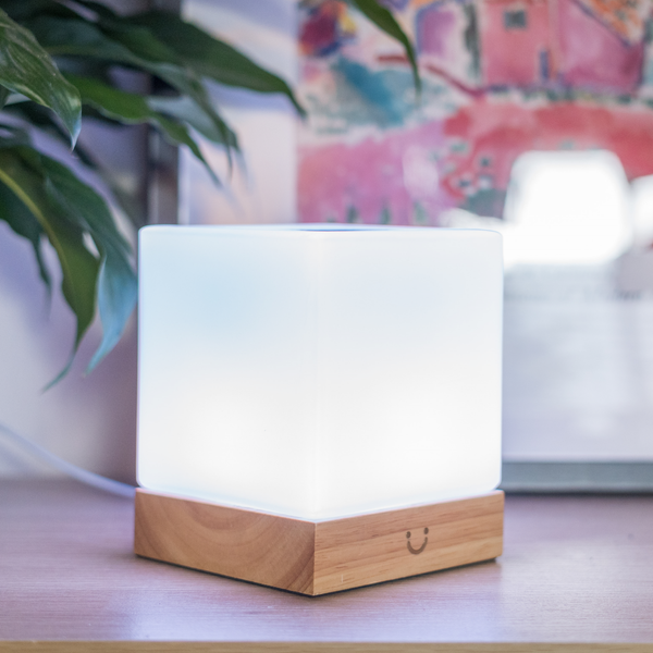 LuvLink | Friendship Lamp with Stylish Design & Instant Connection | Perfect Long Distance Gift