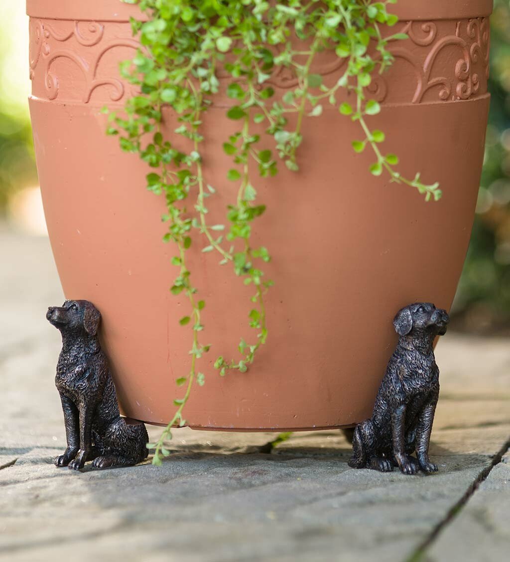Labrador Potty Feet | Decorative Plant Pot Feet for Improved Drainage | Frost-Resistant Design for Healthy Plants