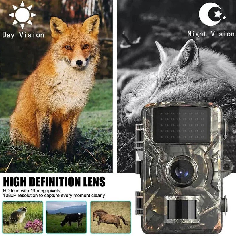 Wireless Motion Camera with Night Vision Recording
