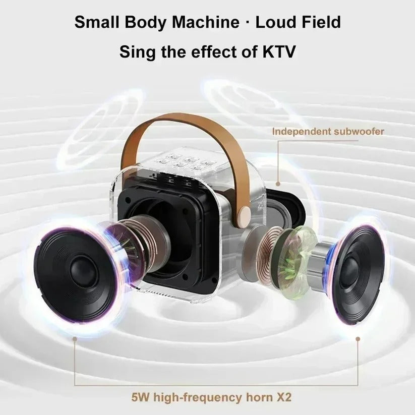 Portable Karaoke System with Bluetooth and Microphone