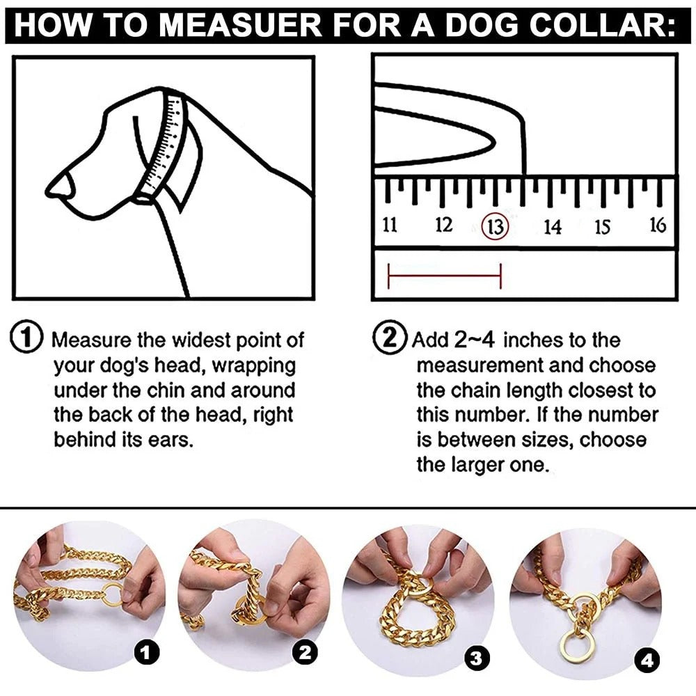 Durable Metal Puppy Collar in Various Colors