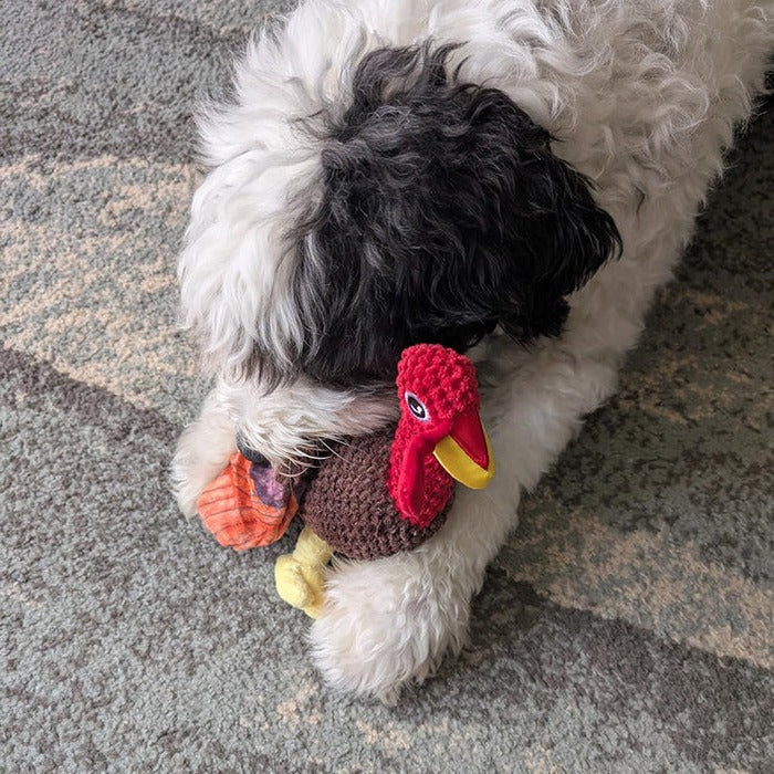 Strong Teddy Guard Dog Toy