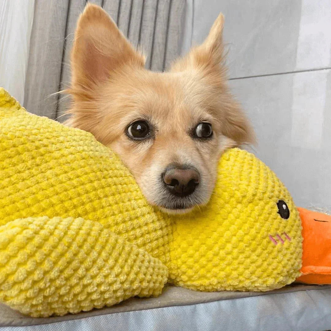 Squeaky Duck Plush Chew Toy for Dogs with Realistic Quack Sound for Small Medium Large Breeds Indoor Tug Play Fetch Teething Relief Companio
