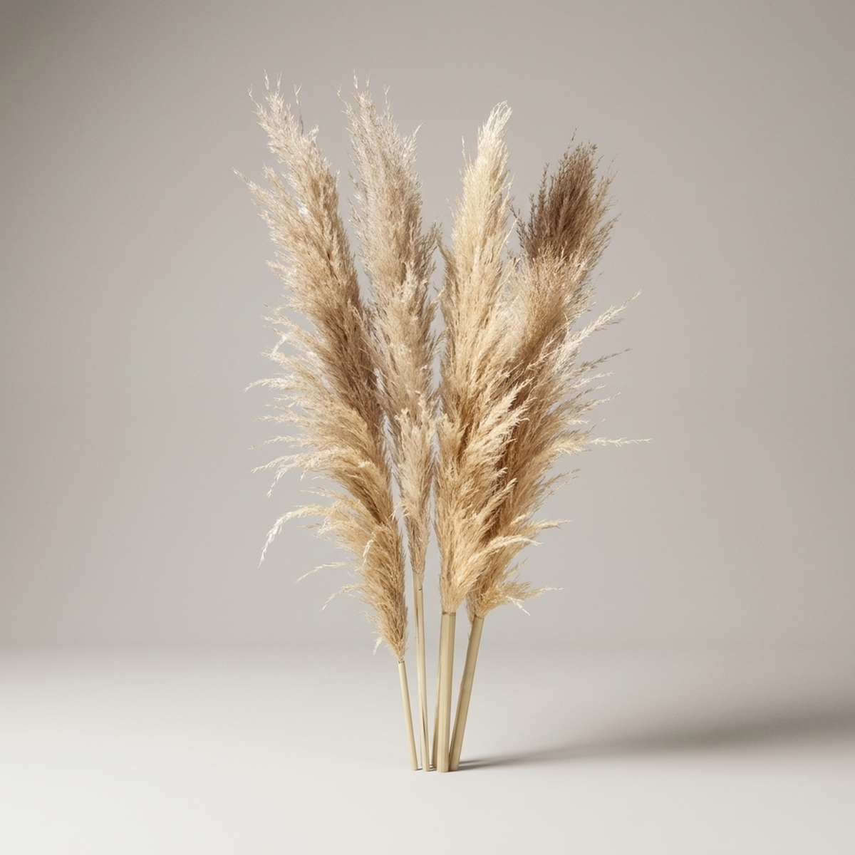PLUMETABLE – Dried Pampas Grass Bouquet for Elegant Table Styling