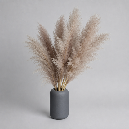 MEADOWHAVEN – Dried Pampas Grass for Timeless Decorative Character