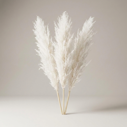 PLUMETABLE – Dried Pampas Grass Bouquet for Elegant Table Styling