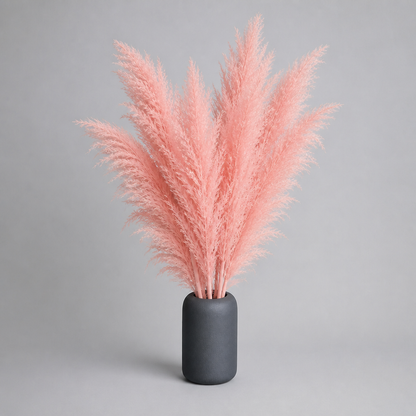 MEADOWHAVEN – Dried Pampas Grass for Timeless Decorative Character