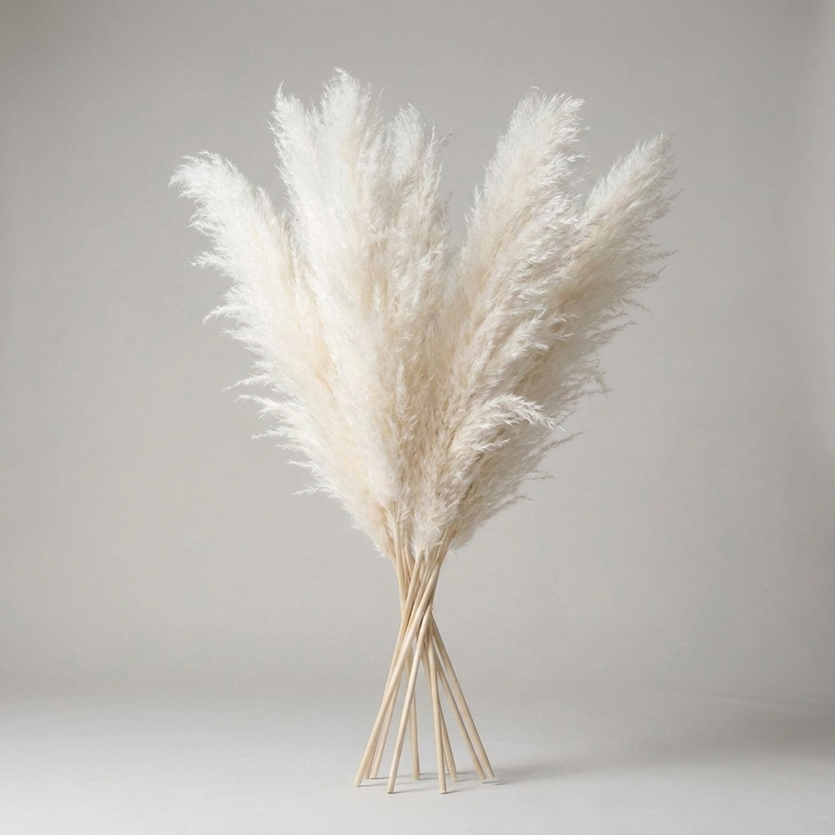 PLUMENEST – Pampas Grass Stems for Cozy Decorative Character
