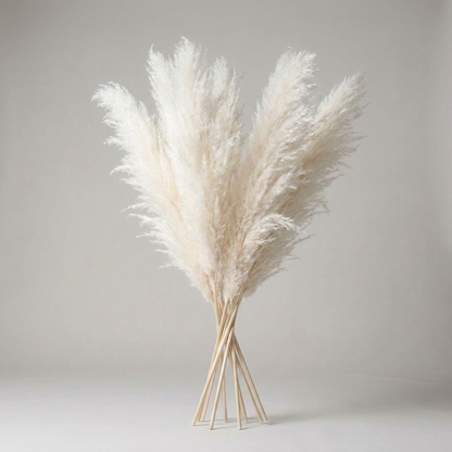 PLUMENEST – Pampas Grass Stems for Cozy Decorative Character