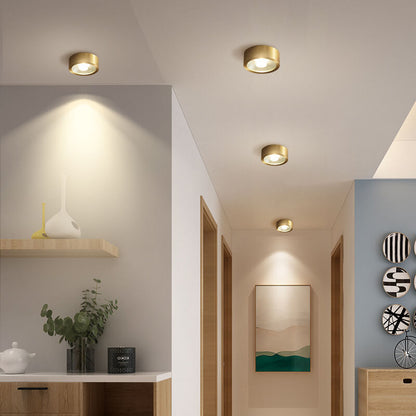 Recessed LED Ceiling Light Copper Finish 5 in Round Ultra Low Profile for Bedroom Entryway Kitchen