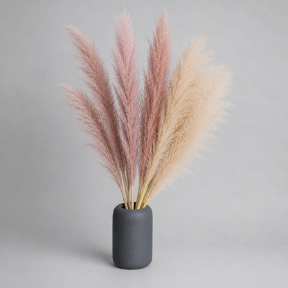 MEADOWHAVEN – Dried Pampas Grass for Timeless Decorative Character