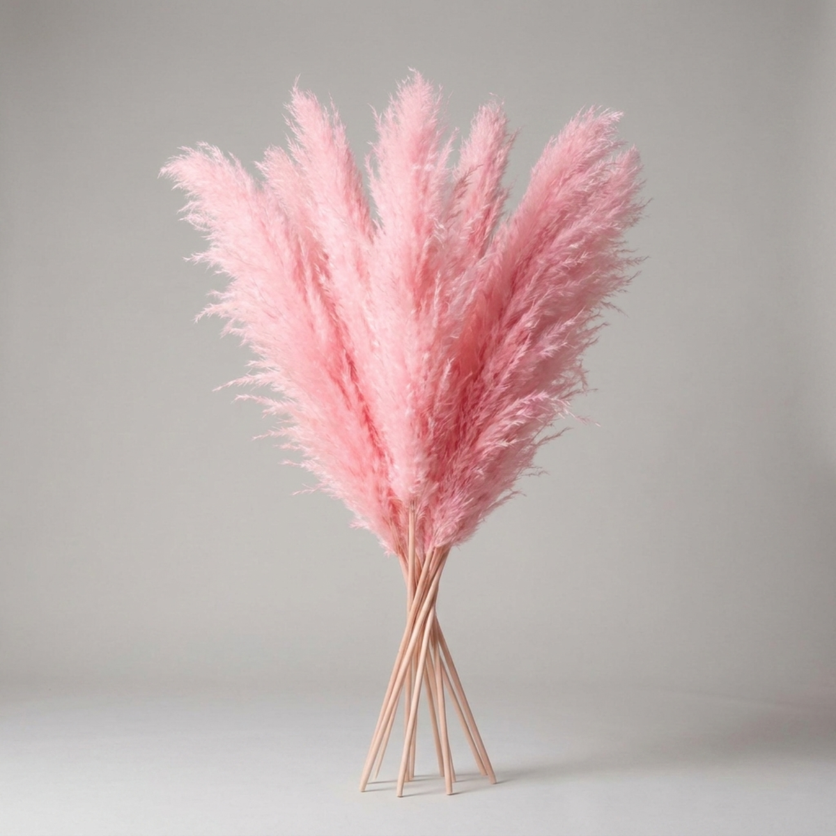 PLUMENEST – Pampas Grass Stems for Cozy Decorative Character