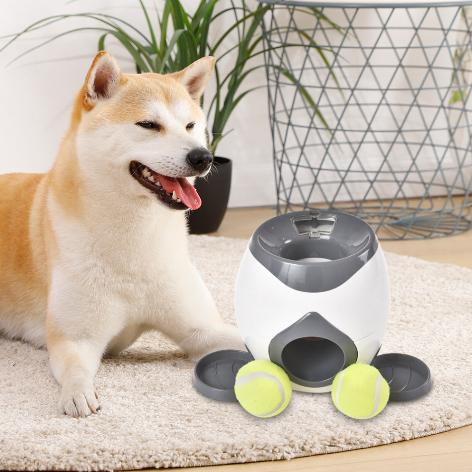 Interactive Pet Feeder | Slow Feeder Dog Bowl with Durable ABS Material | Engaging Mealtime Fun for Healthy Eating