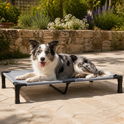 Ortekor Elevated Cooling Portable Nylon Dog Cot