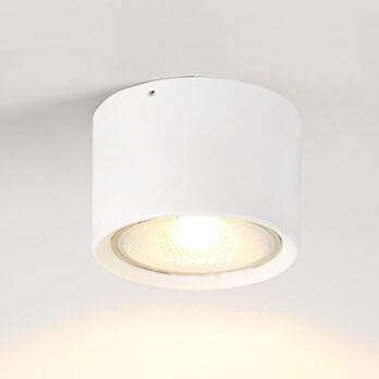 Low-Profile LED Ceiling Light 4.7 in Round Fixture 12W Contemporary Overhead Lighting for Bedrooms Hallways Home & Office Compact Surface-Mo