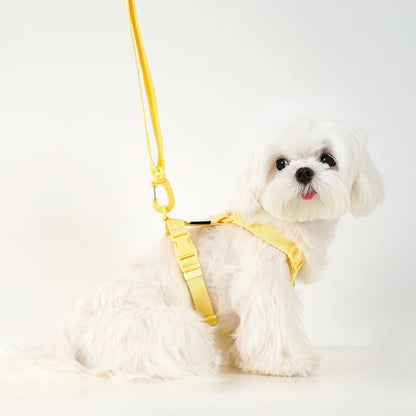 PAWGLEAM – Reflective Pet Harness Leash Set