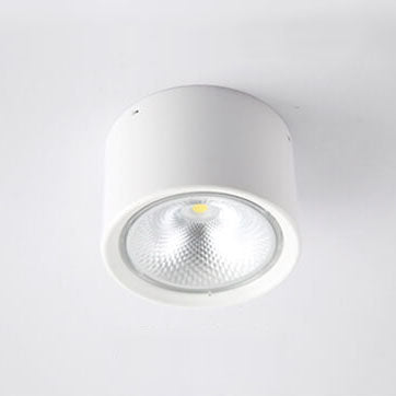 Low-Profile LED Ceiling Light 4.7 in Round Fixture 12W Contemporary Overhead Lighting for Bedrooms Hallways Home & Office Compact Surface-Mo