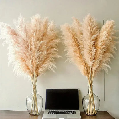 PLUMENEST – Pampas Grass Stems for Cozy Decorative Character