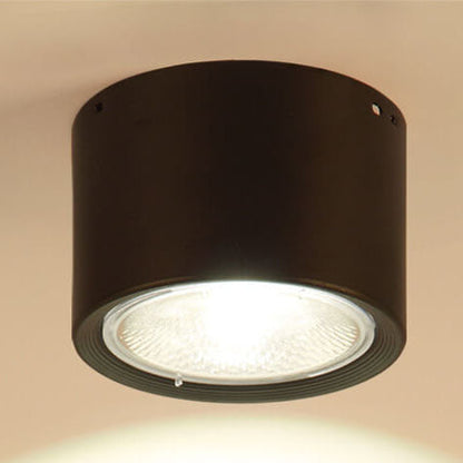 Adjustable Cylinder Spotlight – Surface Mount LED Ceiling Light – Directional Accent Fixture for Living Room, Hallway & Kitchen – Modern