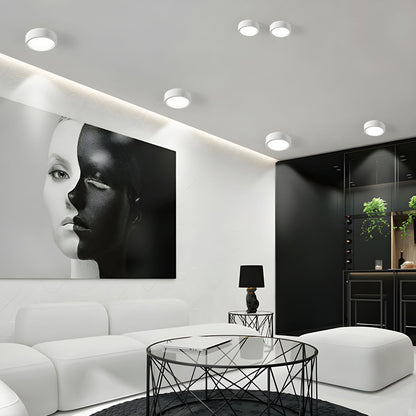 Flush Mount LED Ceiling Light – Ultra-Slim Profile, Modern Minimalist Design for Low Ceilings, Energy-Efficient Integrated Lighting