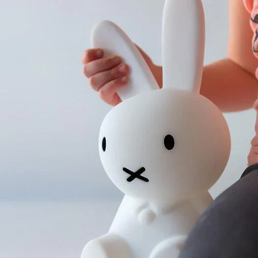 Cute Rabbit Home Decor Figurine