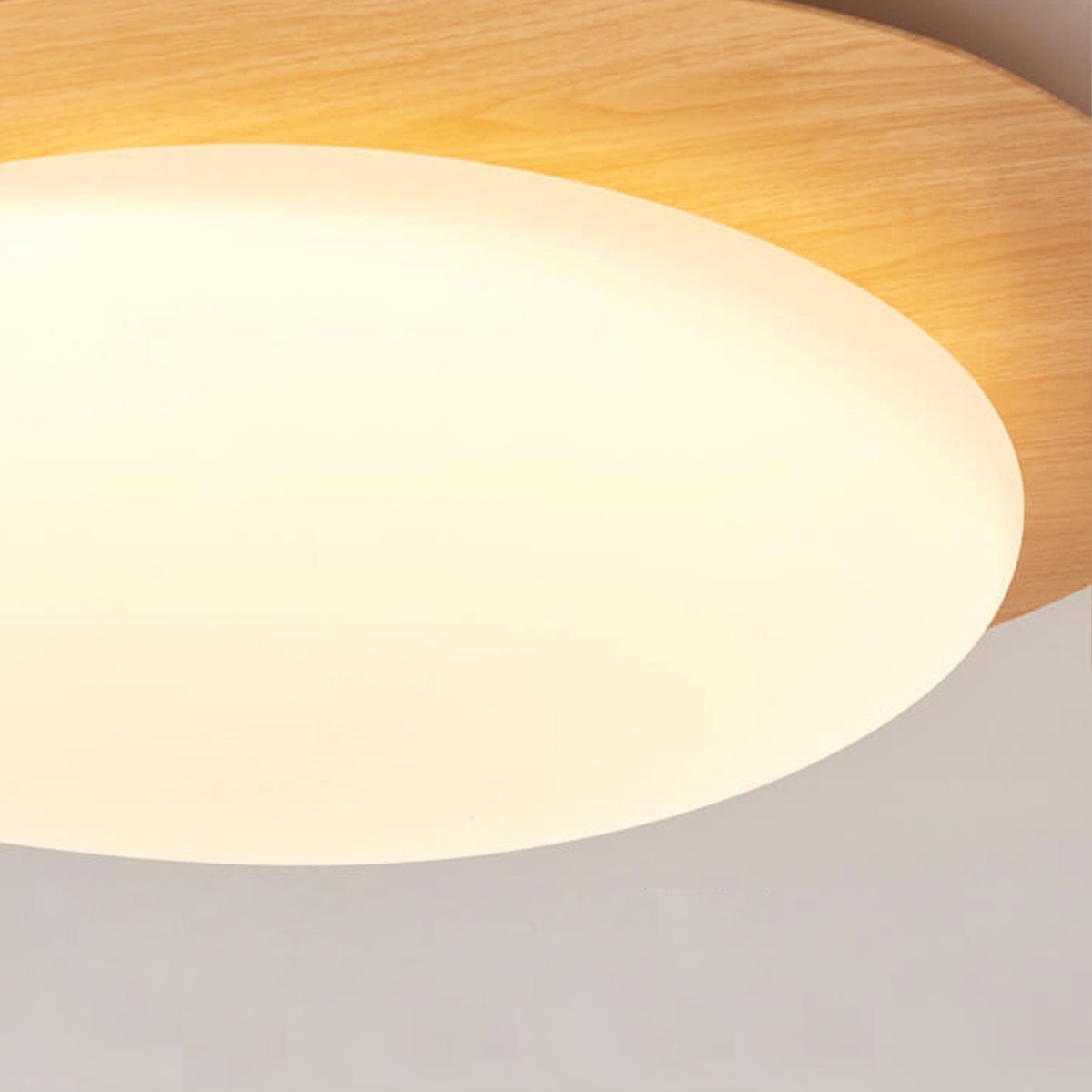 Low-Profile LED Ceiling Fixture with Remote Dimming & Three Color Modes for Bedrooms Hallways Kitchens | Modern Iron Acrylic Overhead Lighti