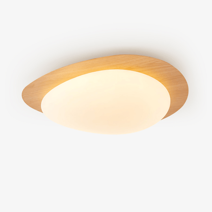 Flush Mount LED Ceiling Light Round 12 in Walnut Finish 12W Indoor for Bedroom Living Room Dining Room Kitchen Hallway Foyer Dimmable Low Pr