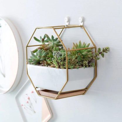 Hexa Frame Wall Planter