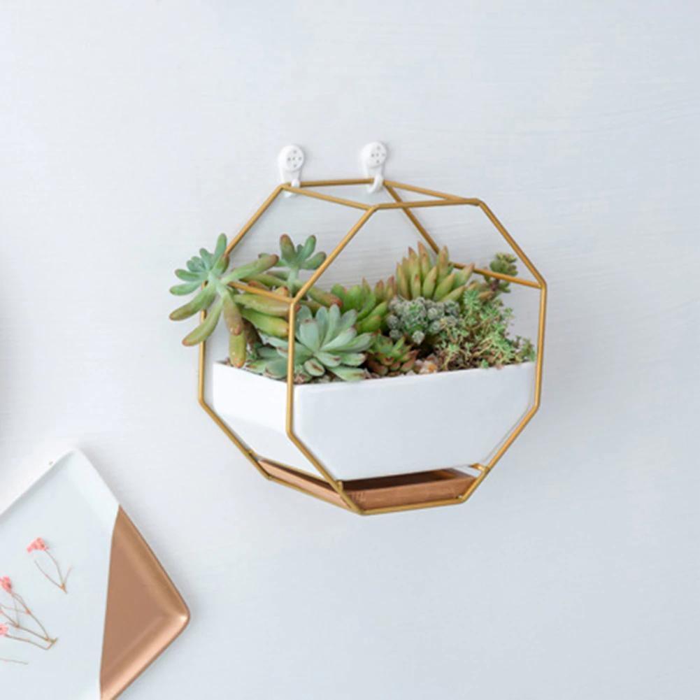 Hexa Frame Wall Planter