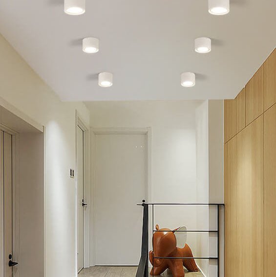 Low-Profile LED Ceiling Light 4.7 in Round Fixture 12W Contemporary Overhead Lighting for Bedrooms Hallways Home & Office Compact Surface-Mo