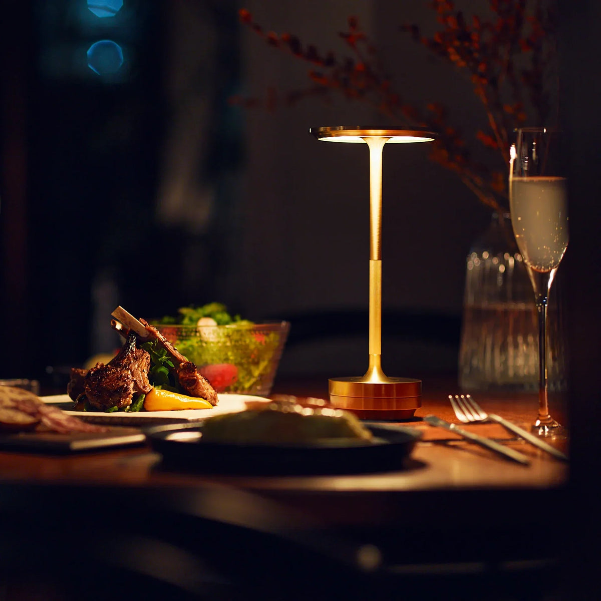 Rechargeable Cordless LED Table Lamp with 3 Color Temperatures & Dimmer Touch Control for Living Room Bedroom Patio Indoor Outdoor