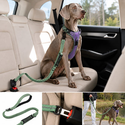 Ortekor Reflective Dog Car Seat Belt Leash for Backseat Travel & Daily Walks - Shock-Absorbing Bungee Tether to Help Reduce Pulling & Driver Distraction