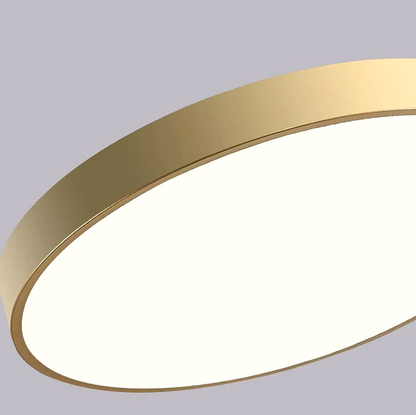 Round LED Ceiling Light Fixture Dimmable Modern Flush Mount for Living Room Bedroom Hallway Energy Efficient Lighting