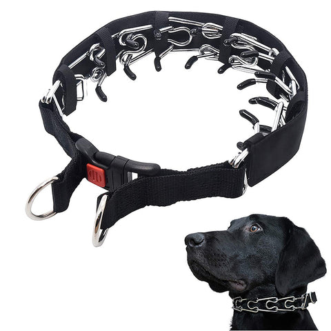 Dog Training Collar Nylon Quick-Release & Rust-Resistant D-Ring