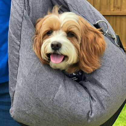 Portable Pet Carrier Booster Seat with Safety Harness and Washable Cover for Small Dogs