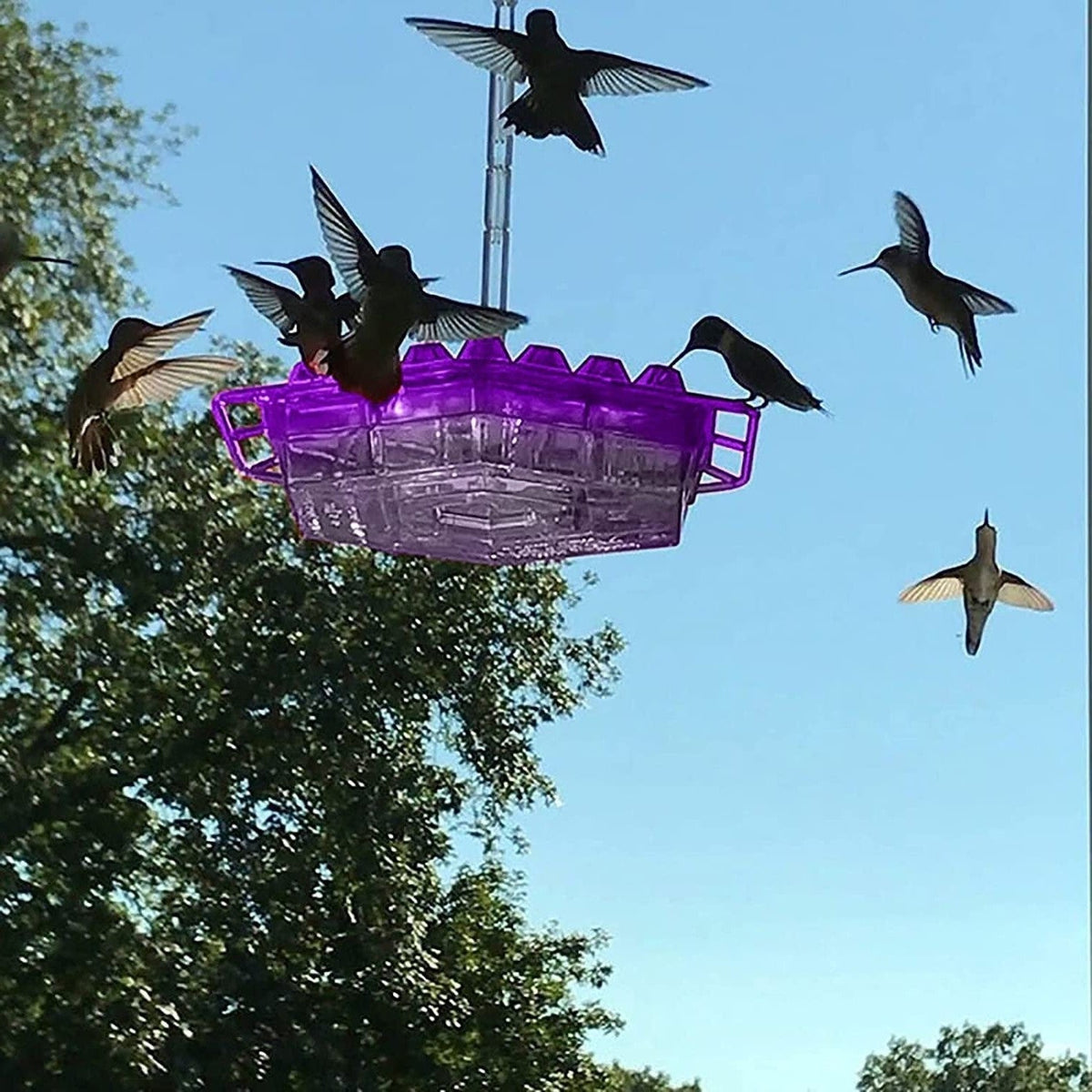 12 oz Hanging Hummingbird Feeder with 30 Feeding Ports & Built-In Ant Moat for Backyard Birds Outdoor Garden Patio Deck