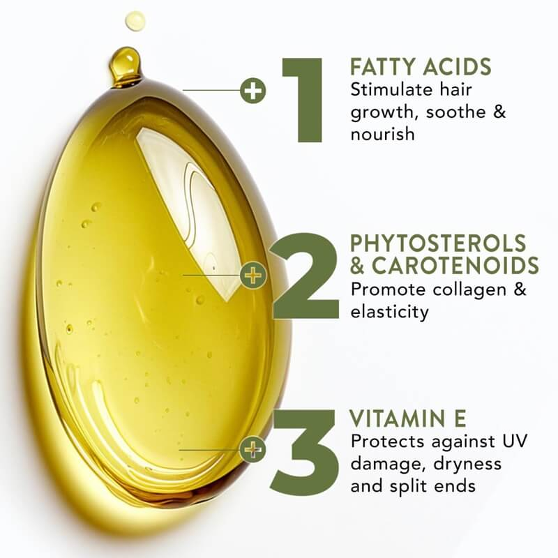 Natural Hair Growth Treatment Oil with Vitamins for Thinning Hair and Scalp Nourishment for Women and Men