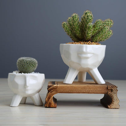 2-Piece White Ceramic Facial Succulent Planters