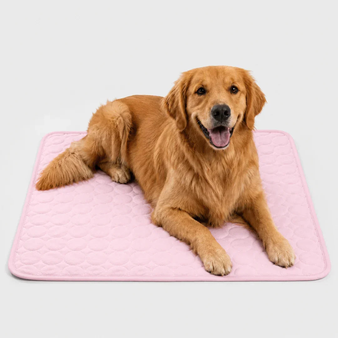 Machine-Washable Cool-Touch Pet Bed Pad for Dogs & Cats – Travel-Ready Foldable Chill Blanket for Summer Heat Relief, 6 Size Options for
