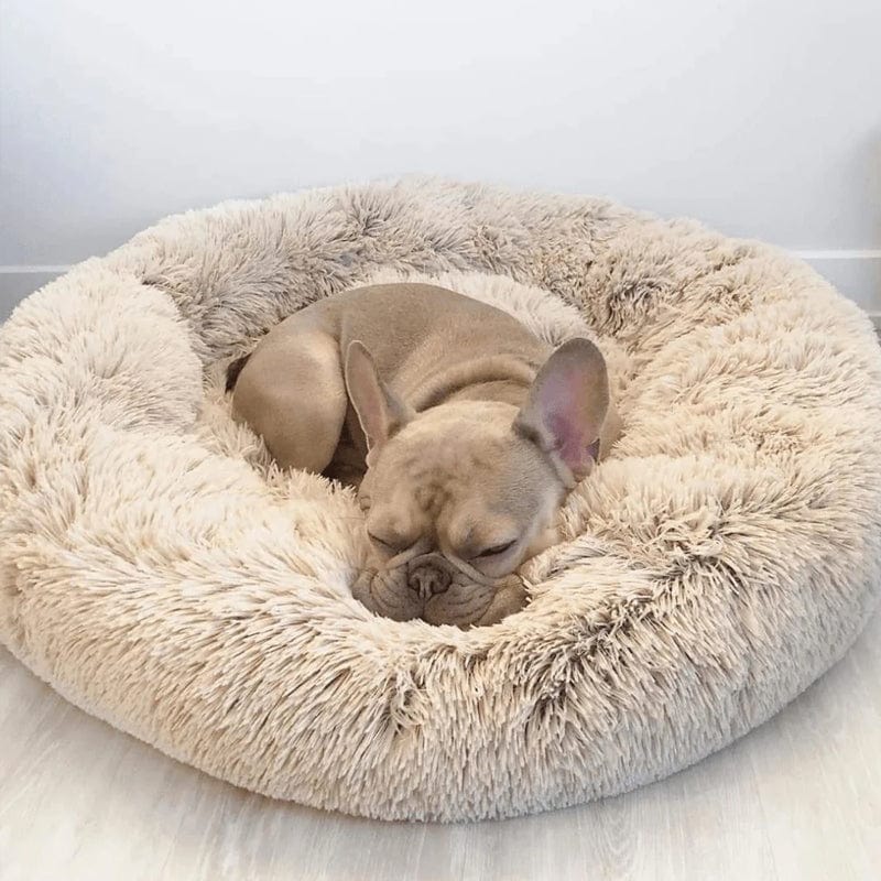 Round Plush Pet Bed with Raised Rim for Dogs & Cats | Anti-Anxiety Donut Cushion for Small Medium Large Pets | Machine Washable