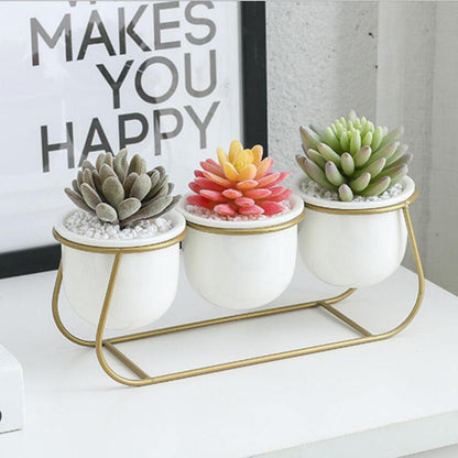 Metal Sleigh Succulent Trio