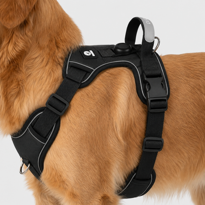 Adjustable Anti-Pull Dog Vest with Front Clip and Reflective Trim for Small to Large Breeds