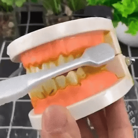 Toothpaste Baking Soda & Herbal Extracts Fluoride-Free
