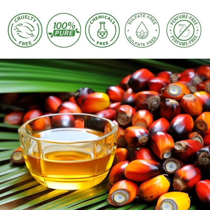 Natural Hair Growth Treatment Oil with Vitamins for Thinning Hair and Scalp Nourishment for Women and Men