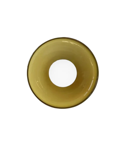 Flush Mount Ceiling Light with Glass Shade and Metal Frame for Living Room, Bedroom, Hallway – Round Overhead Fixture with Warm White Glow