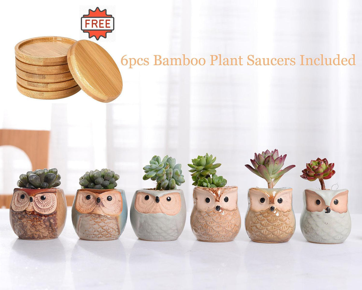 6-Piece Small Owl Ceramic Succulent Planter Pots