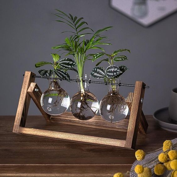 Wooden Desktop Glass Tube Rooting Station for Cuttings & Houseplants — Single, Double & Triple Holder Designs